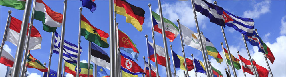 flags at the UN