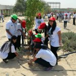 120 trees spread across a big area